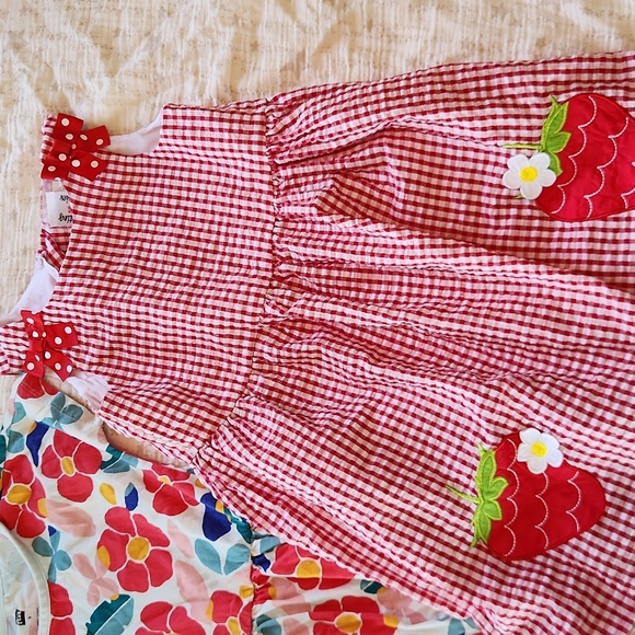 2 Girl's Summer Dresses Size 5, Strawberry Gingham And Floral. - Picture 3 of 4